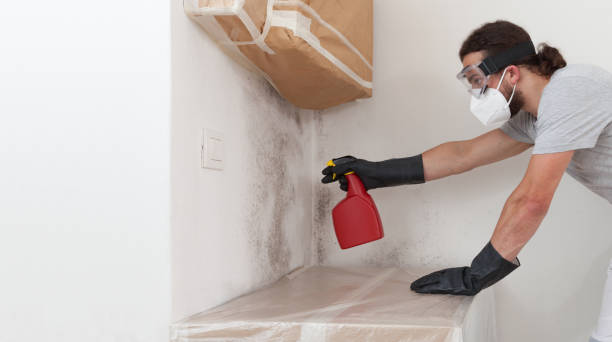 Professional Bathroom Mold Removal technician working in Lake Worth, TX